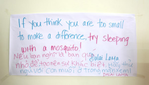 our quote on the wall, teaching at blue dragon