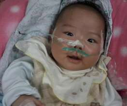Premature baby Jinjin survived with our help