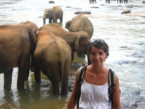 Veronika at the Elephants' Orphanage