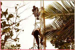 Mesh Antenna