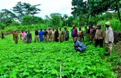 Supporting Gender Equality in Rural Cameroon