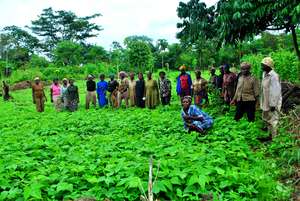 Supporting Gender Equality in Rural Cameroon