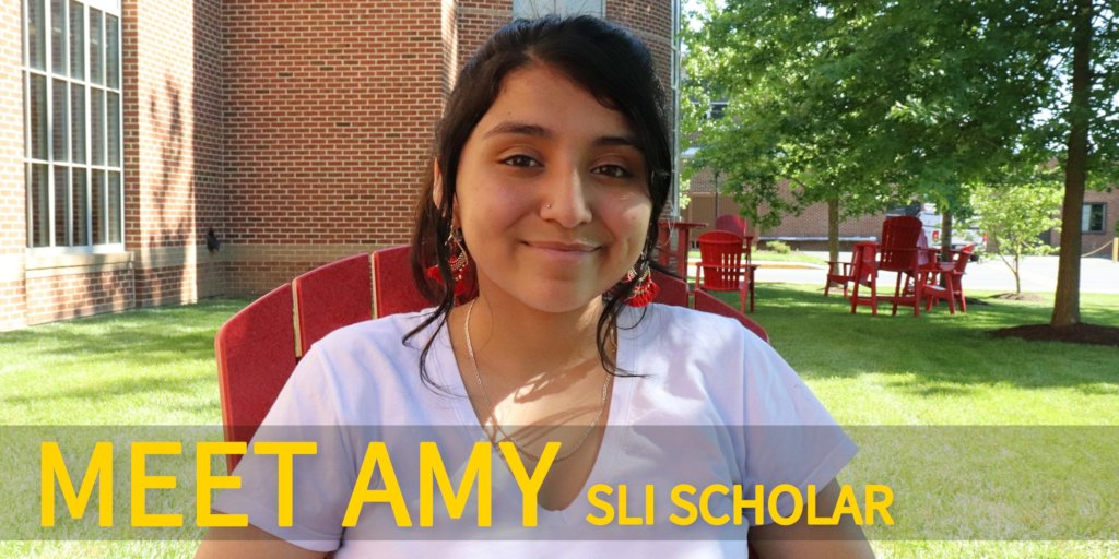 Meet Amy at https://vasli.org/amy