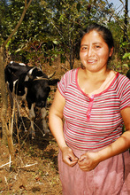 Patrociña and her cow.