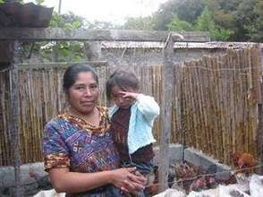 APROSADSE Chicken Project