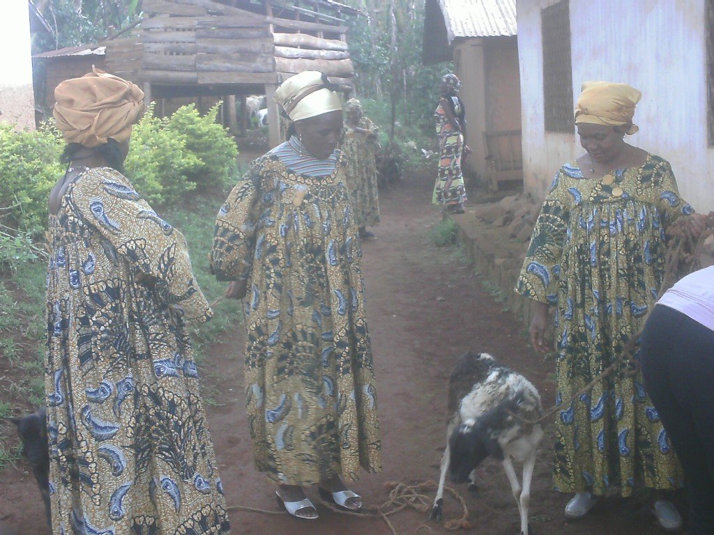 Income Generation for 100 Women/Girls in Cameroon