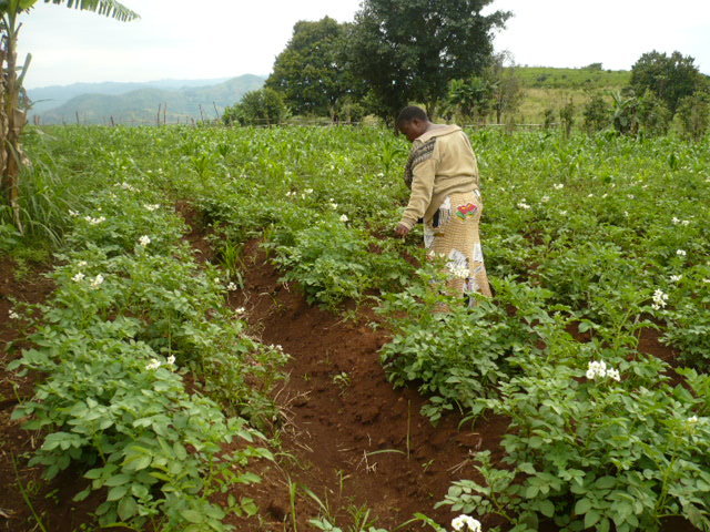 Income Generation for 100 Women/Girls in Cameroon