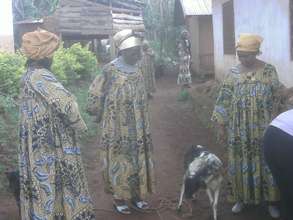 Raising Sheep