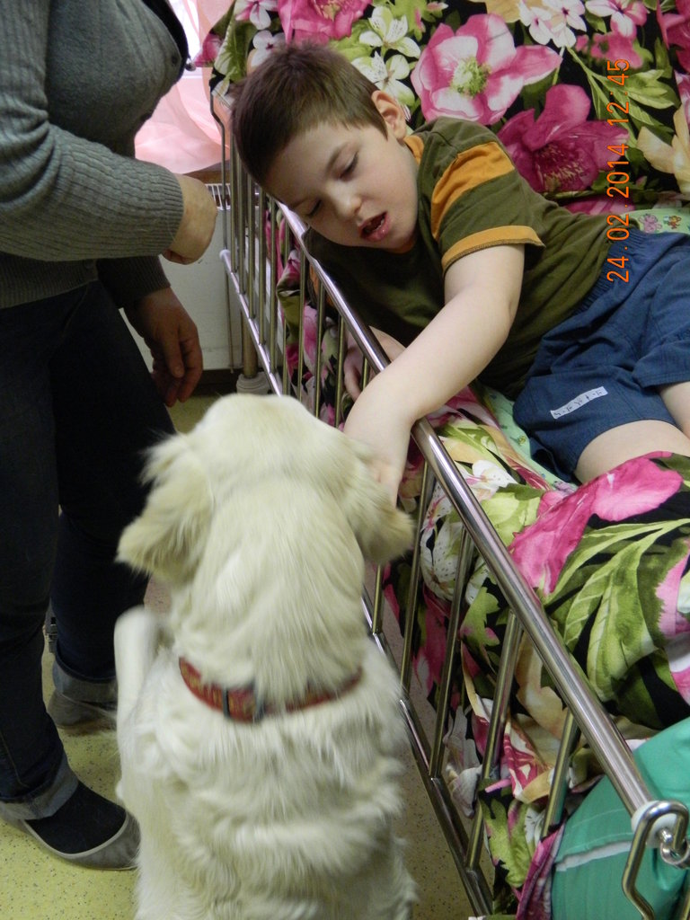 Help to100 most disadvantaged orphans (disability)