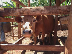 Waithera