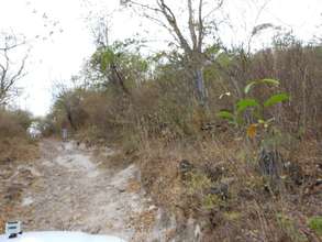 Road in to Albellanas
