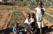 Seeds Will Change the Lives of Children