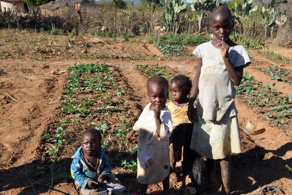 Seeds Will Change the Lives of Children
