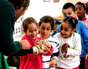 Summer Educational Activities at the Zoo