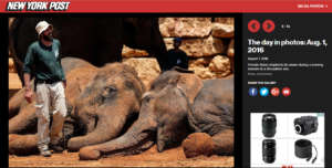 Visitors can observe how we work with animals