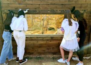 Visitors returning to the Zoo, dressed for Purim