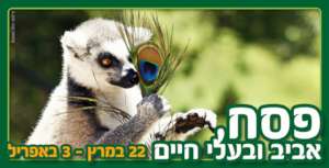 Spring fun and learning at the Jerusalem Zoo