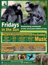 Winter Weekends Program at the Zoo