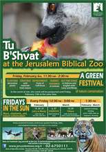 Arbor Day Activities