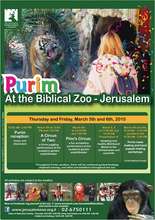 Purim Activities