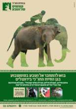 Weekend educational activities at the Zoo