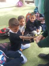 Children enjoying Zoo field trips