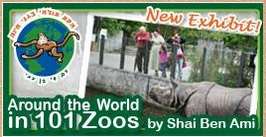 Special exhibitions and programs