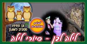 Sunset and evening tours - a special experience