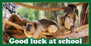 The new school year began in September