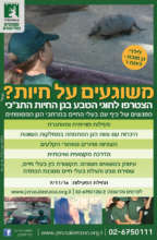 After school program flyer