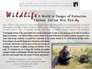 Photographic Exhibition