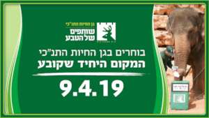 The elephants vote for themselves!