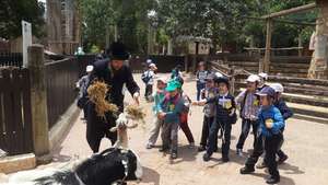 An Ultra Orthodox Jewish school field trip