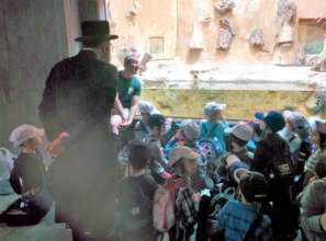 Learning about the wonders of nature