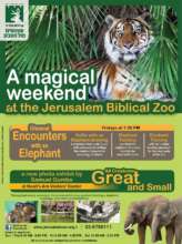 Weekend educational programming