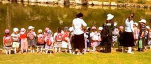 Learning to observe the beauty around us