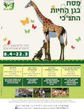 List of Spring educational activities at the zoo