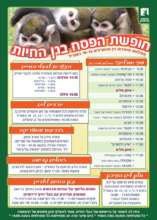 Special educational activities at the Zoo