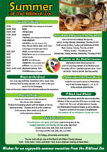 Summer Visitor Educational Activities