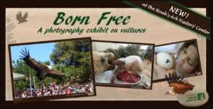 Educational Photography Exhibition