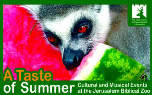 Many people joined our special summer activities