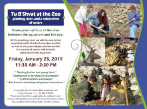 Arbor Day Activities