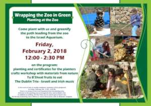 Arbor Day Educational Activities