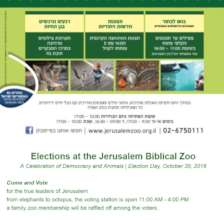 Educating visitors about democracy and animals