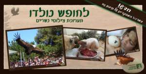 Educating about birds of prey conservation efforts