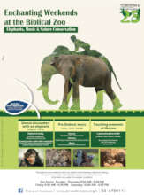 Weekend Educational Activities at the Zoo