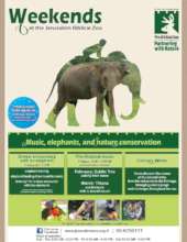 Weekend educational activities at Jerusalem Zoo