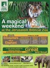 Spring weekend educational activities