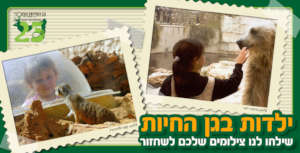 Photography contest held at the Zoo