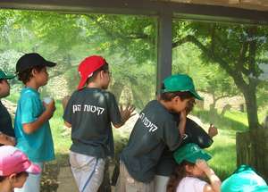 Summer Camp at the Zoo